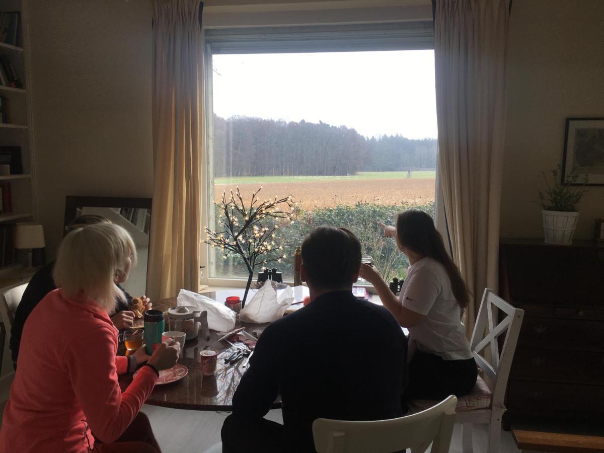 Budget-Unterkunft Im Wunderschonen Haus Mit Herrlichem Panoramablick ลือเนอบวร์ก ภายนอก รูปภาพ