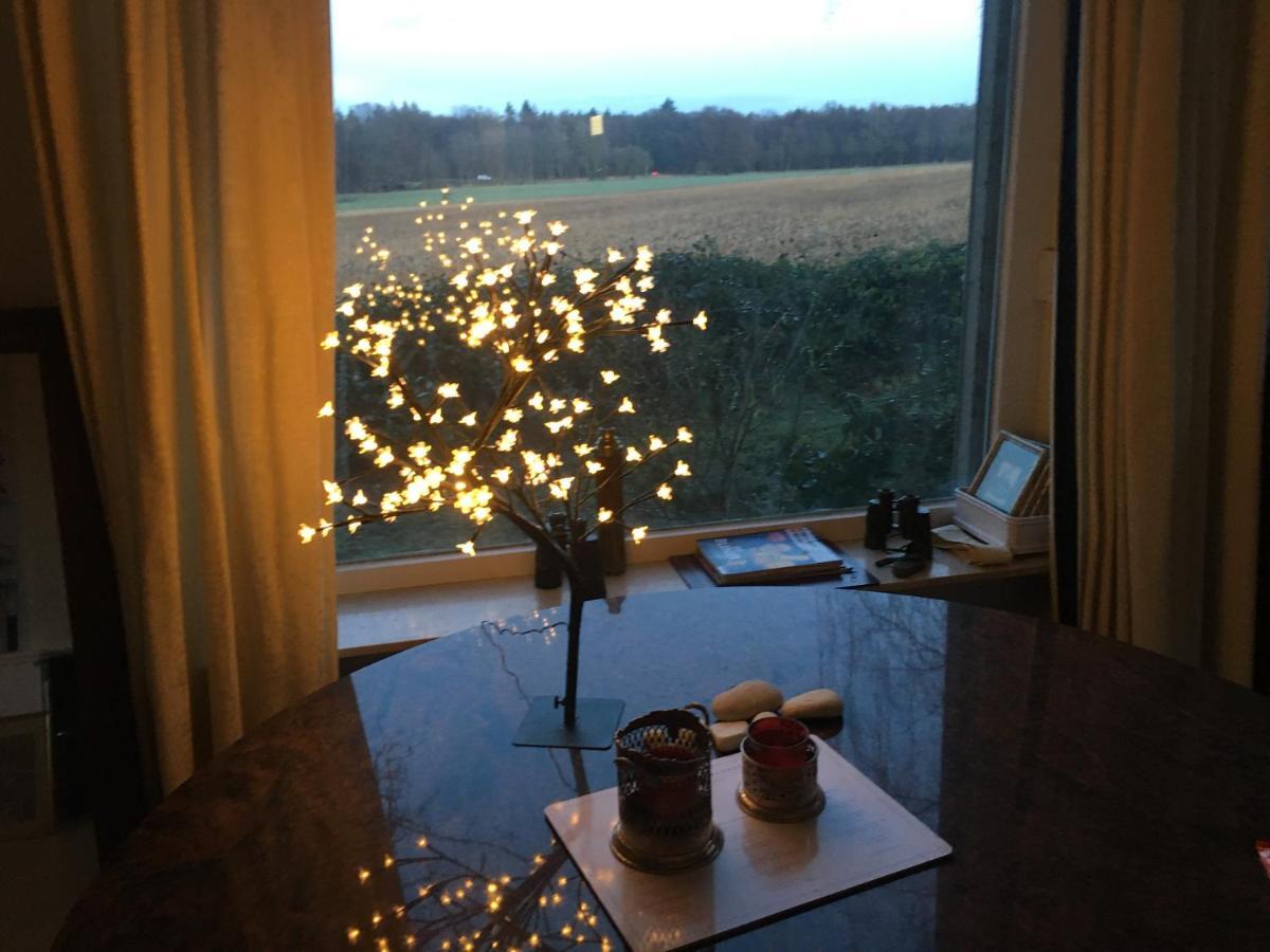 Budget-Unterkunft Im Wunderschonen Haus Mit Herrlichem Panoramablick ลือเนอบวร์ก ภายนอก รูปภาพ
